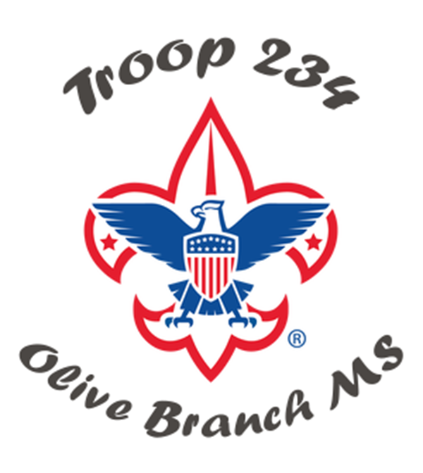 Troop 234